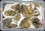 Dogtooth Calcite Wholesale Flat - Pieces #60036-1